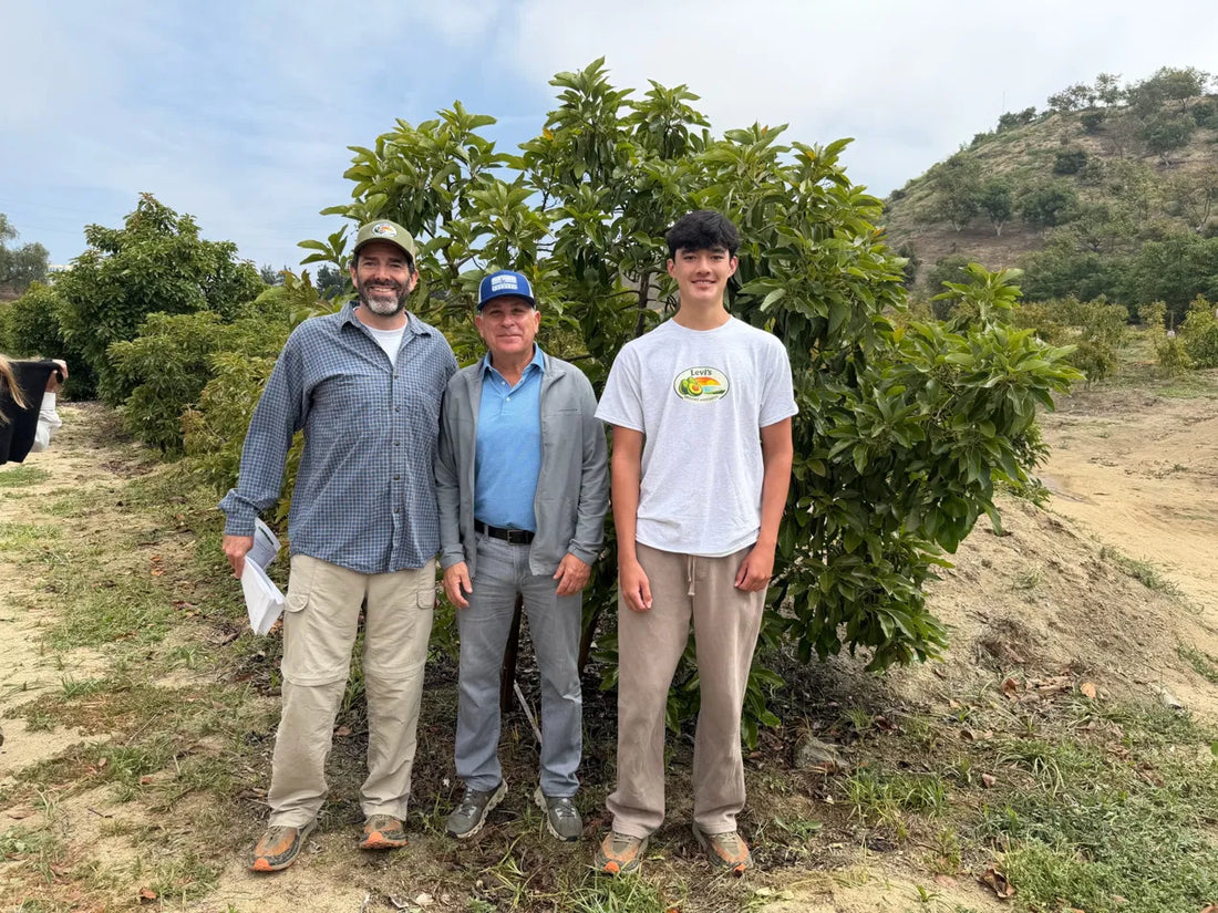 California Avocado Commission President Ken Melban visits Levi and David at the family ranch