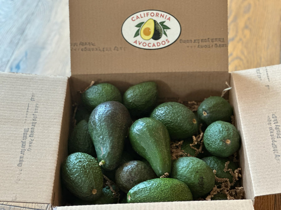 Curated Variety Avocado Box