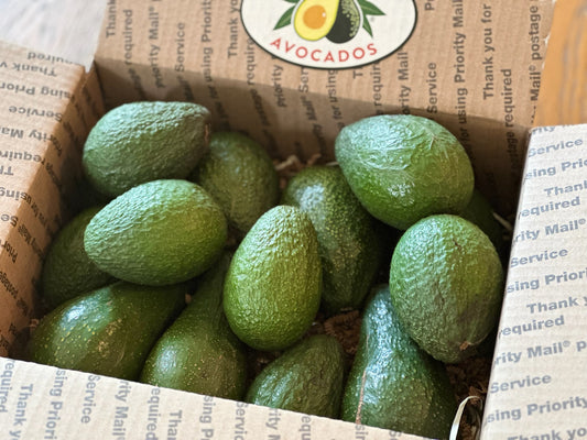 Curated Variety Avocado Box