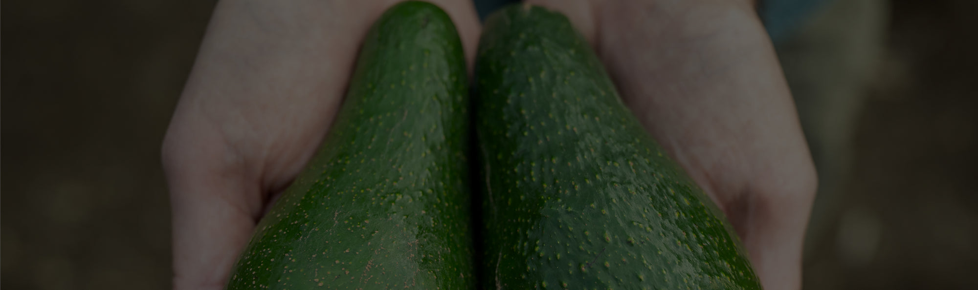 Why Avocados?
