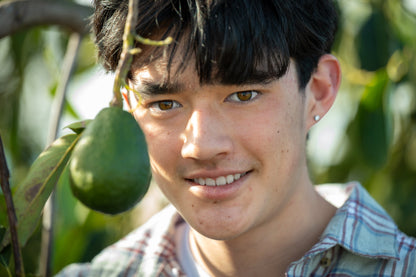 Curated Variety Avocado Box