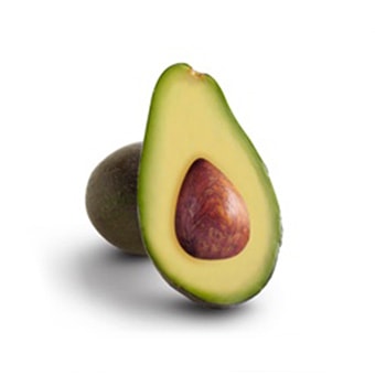Half-cut Fuerte avocado on a white background